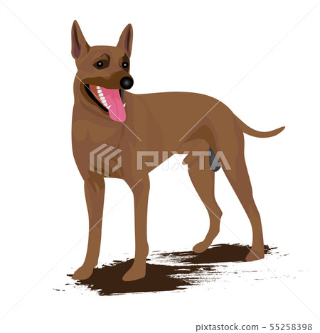 isolated brown dog  vector design 55258398