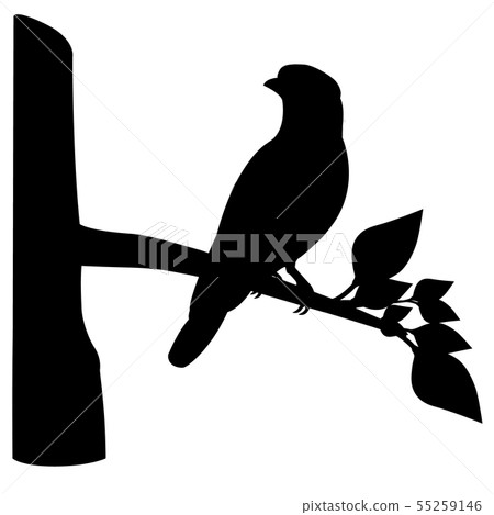 silhouette bird on branch vector design 55259146