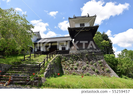 岩村城公園 55259457