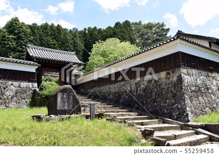 岩村城公園 岩村城公園 55259458