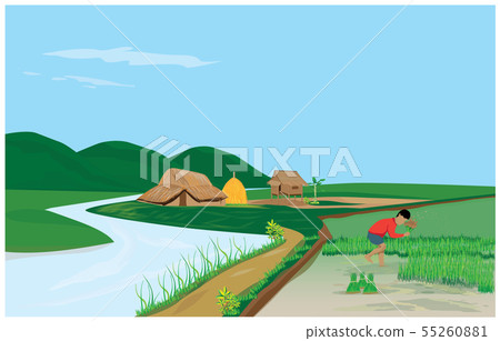 farmer work in paddy field vector design - Stock Illustration [55260881 ...