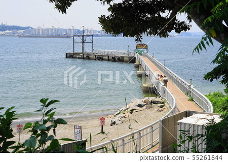 7月Yokosuka 191 Sarushima碼頭 7月Yokosuka 191 Sarushima碼頭 55261844