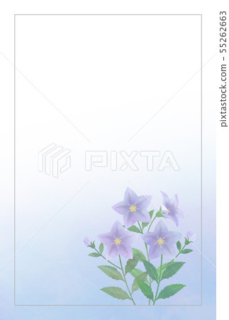 Kikyoki postcard in mourning Kikyoki postcard in mourning 55262663
