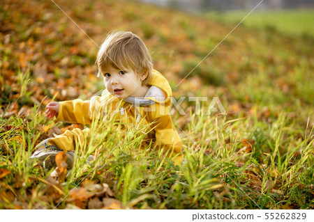 Happy little boy laughing and playing in the Happy little boy laughing and playing in the 55262829