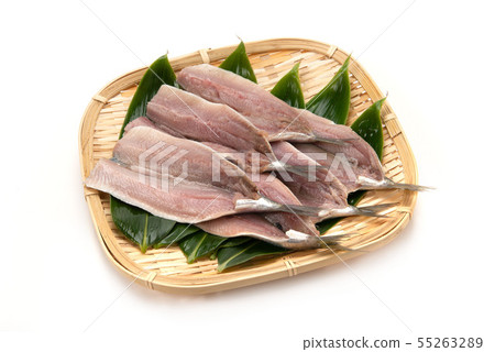 竹莢魚的開幕 55263289