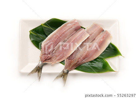 竹莢魚的開幕 55263297