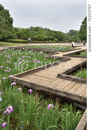 Saitama Prefecture Fujimi City Yamazaki Park (Seseragi Gion) 55263767