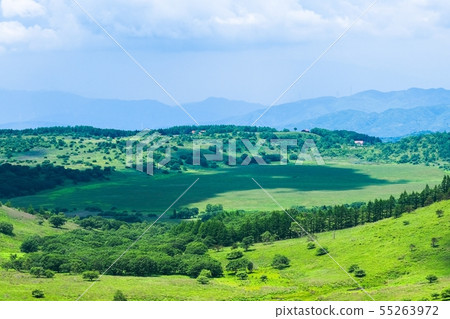 Kuramayama Kogen（夏季）景觀：斑馬山（Kurayama）的Yashima濕地景觀 55263972