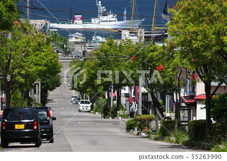 Town Hakodate of the hill 55263990