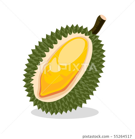 Durian. Exotic fruit.  55264517