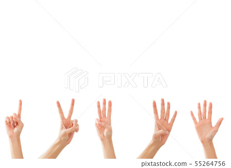 Raw beef steak in packageon white background Raw beef steak in packageon white background 55264756