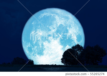 Full Buck Moon back silhouette trees in the field Full Buck Moon back silhouette trees in the field 55265274