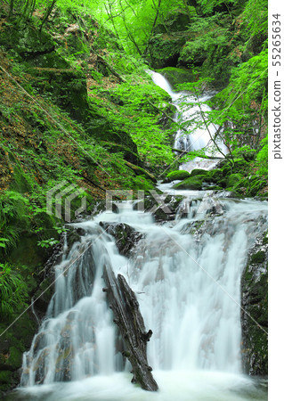 Ochiai Three Waterfalls Hikawa Valley Ryumon Gorge Ochiai Three Waterfalls Hikawa Valley Ryumon Gorge 55265634