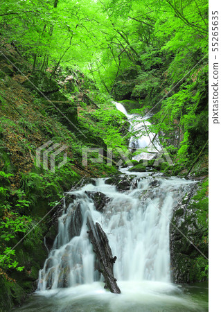 Ochiai Three Waterfalls Hikawa Valley Ryumon Gorge 55265635