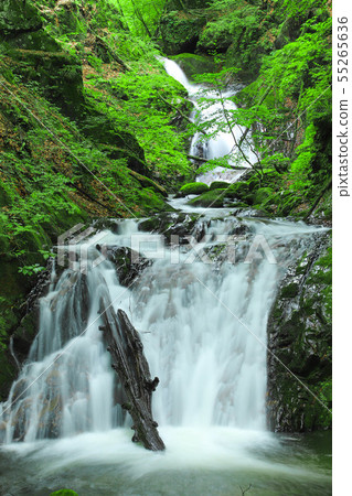 Ochiai Three Waterfalls Hikawa Valley Ryumon Gorge 55265636