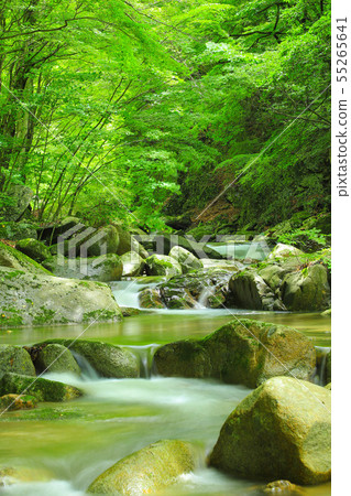 Hikawa Valley Ryuuon Gorges - Stock Photo [55265641] - PIXTA