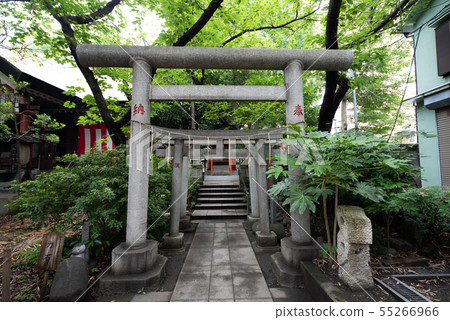 以Kameido Shichifukujin著名的Koto Tenso神社Torii 以Kameido Shichifukujin著名的Koto Tenso神社Torii 55266966
