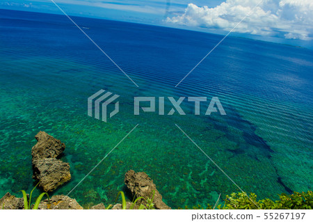 從鬣蜥岩石景觀 從鬣蜥岩石景觀 55267197