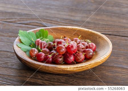 西方醋栗 西方醋栗 55268063