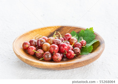 西方醋栗 西方醋栗 55268064