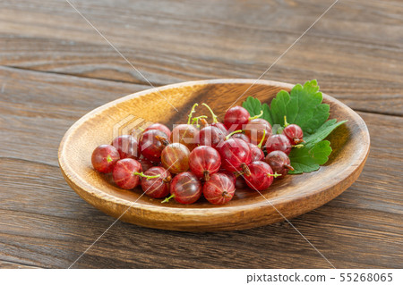 西方醋栗 西方醋栗 55268065