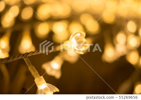 Closeup of flower shaped LED lights in Nabana No Closeup of flower shaped LED lights in Nabana No 55269656