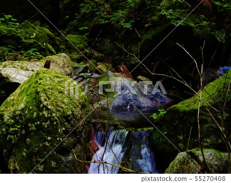 River river 55270408