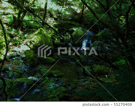 River river 55270409