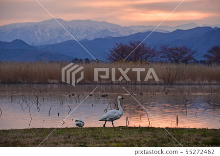 Spring of Luohu Spring of Luohu 55272462