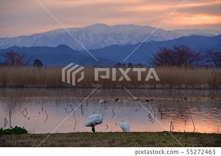 Spring of Luohu Spring of Luohu 55272463