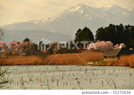 Spring of Luohu Spring of Luohu 55272636