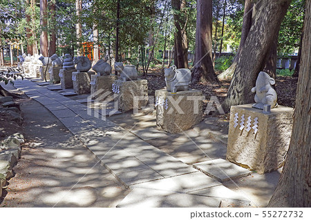 Kaikuni Ichinomiya Asama Shrine 55272732