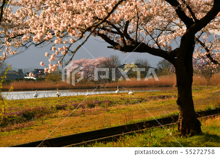 Spring of Luohu Spring of Luohu 55272758