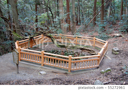 岩國城 岩國城 55272961