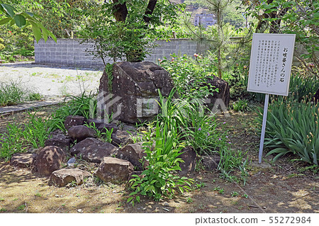 Kai Zenkoji Temple 55272984