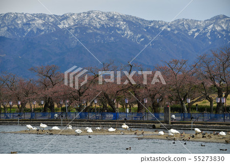 Spring of Luohu 55273830