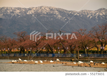 Spring of Luohu 55273831