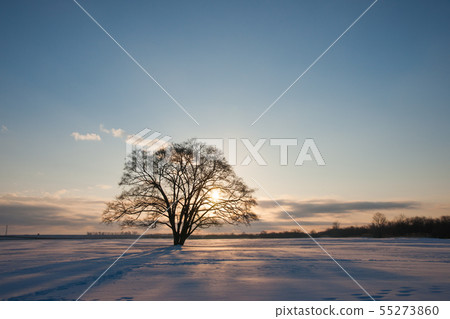 哈尼爾的早晨 哈尼爾的早晨 55273860