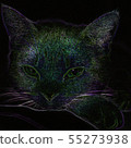 Illustration style ☆ art cat Neon style Mikan Illustration style ☆ art cat Neon style Mikan 55273938