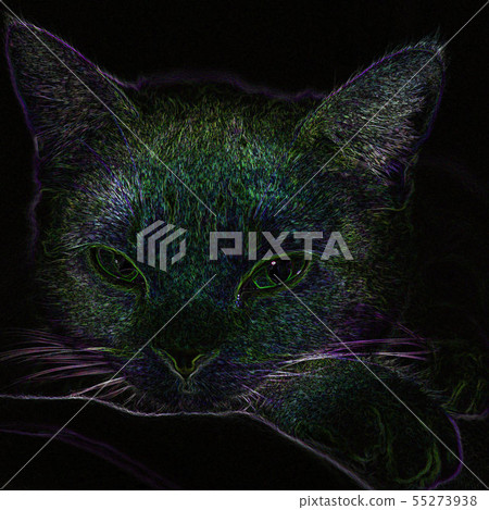 Illustration style ☆ art cat Neon style Mikan 55273938