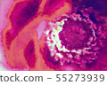 Illustration style embroidery style anemone close-up Illustration style embroidery style anemone close-up 55273939