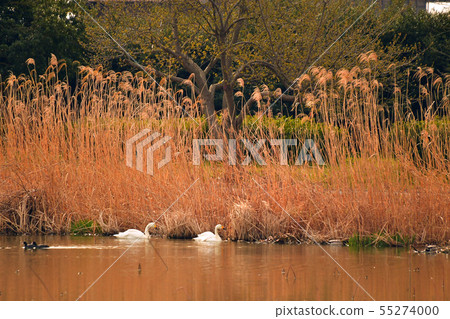 Spring of Luohu Spring of Luohu 55274000