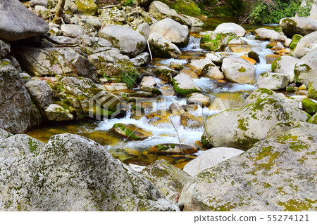Shikoku Shikoku 55274121