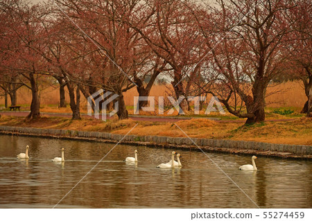Spring of Luohu Spring of Luohu 55274459
