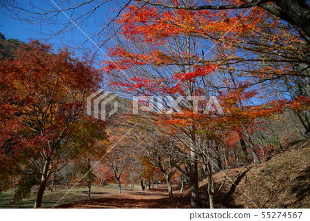 Minowa水壩,湖Momiji秋葉風景 Minowa水壩,湖Momiji秋葉風景 55274567