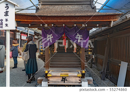 Shimogamo Shrine 55274860