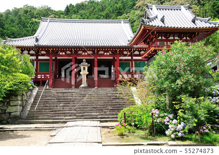 Hydrangea of Yada Temple 55274873