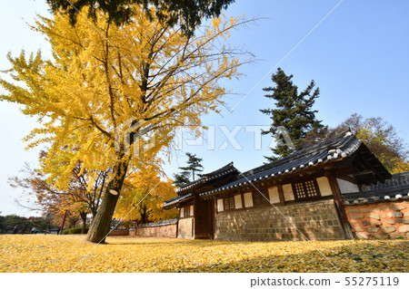Autumn scenery before game in Jeonju city, Korea Autumn scenery before game in Jeonju city, Korea 55275119