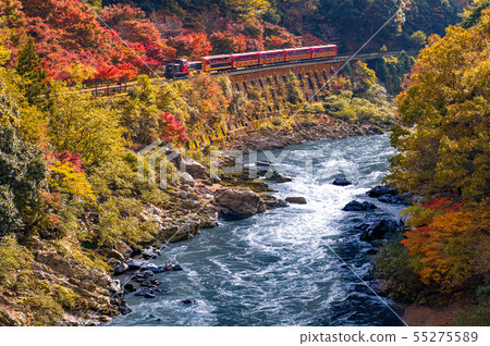 Hozu峽谷的秋天 55275589