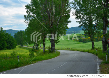 清潔田園風光。 55275755